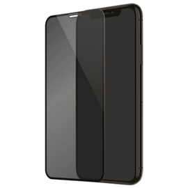 Full Coverage Privacy Tempered Glass Screen Protector for Apple iPhone X/XS/11 Pro, Black