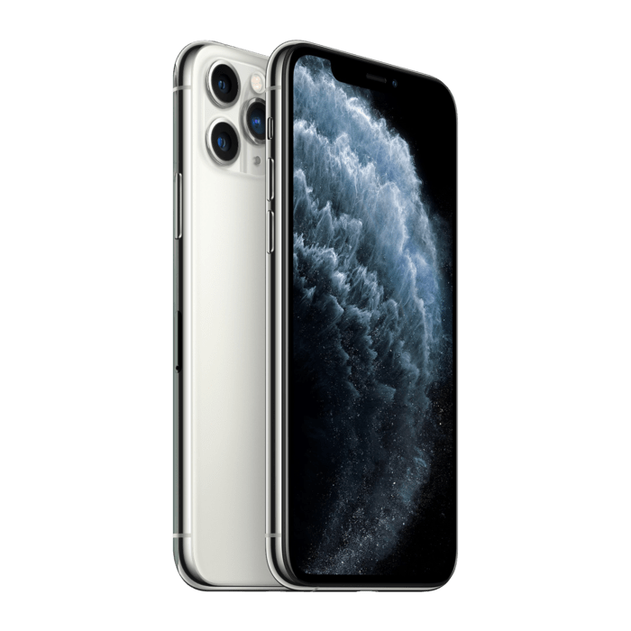 iPhone 11 Pro Max reconditionn&eacute; 256 Go, Argent, d&eacute;bloqu&eacute;