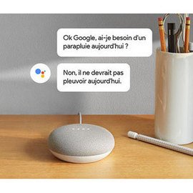 Enceinte intelligente Google Home MIni Gris