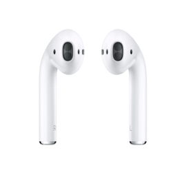 Case AirPods 2 with Charging Case