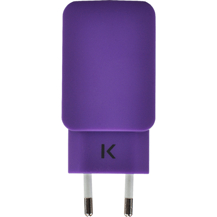 Chargeur Universel Double USB (EU) 3.1A, Violet Royal