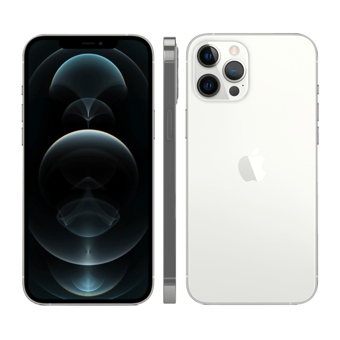 iPhone 12 Pro Max reconditionn&eacute; 256 Go, Argent, SANS FACE ID, d&eacute;bloqu&eacute;