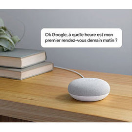 Enceinte intelligente Google Home MIni Gris