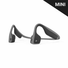 Case AFTERSHOKZ TREKZ TITANIUM MINI SLATE GREY