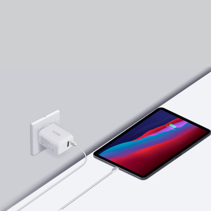 Chargeur mural PowerPort Speed LITE 20 W double USB UE + câble de charge/synchronisation rapide USB-C vers USB-C, blanc