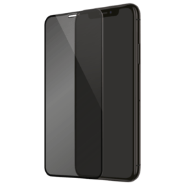 Case Full Coverage Privacy Tempered Glass Screen Protector for Apple iPhone X/XS/11 Pro, Black