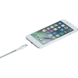 Lightning® cavo MFi certificato Apple / USB in carica / sincronizzazione in acciaio inossidabile ultra-solido (1M), argento