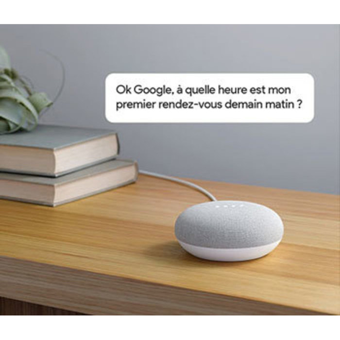 Enceinte intelligente Google Home MIni Gris