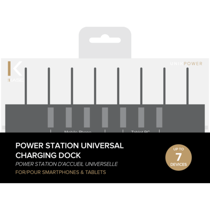 Power Station d accueil universelle