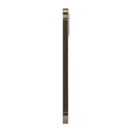 iPhone 12 Pro reconditionn&eacute; 128 Go, Or, d&eacute;bloqu&eacute;